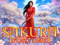 Sakura Fortune